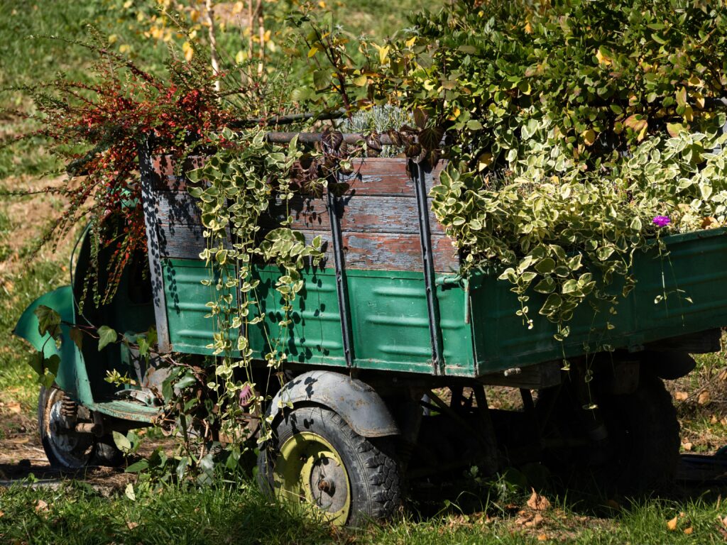 A vintage cart brimming with colorful autumn foliage, displaying natural beauty and rustic charm outdoors.