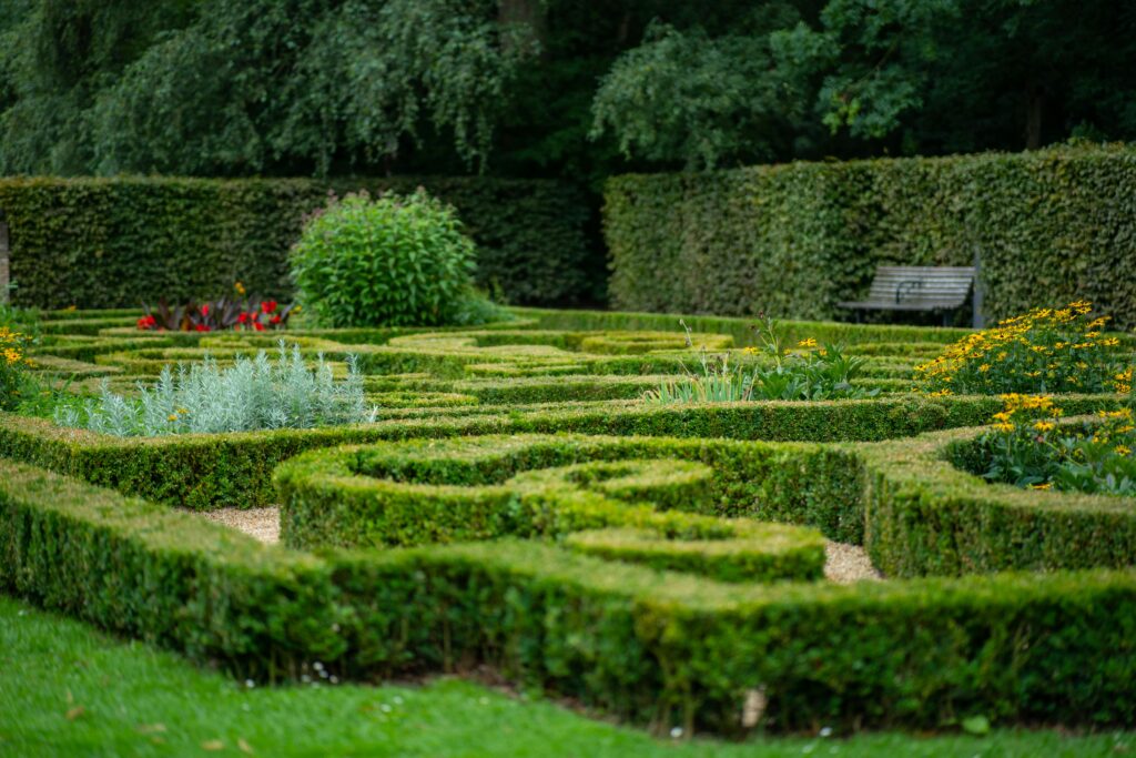 Explore a stunning hedge maze in a serene garden park, perfect for nature walks and relaxation.